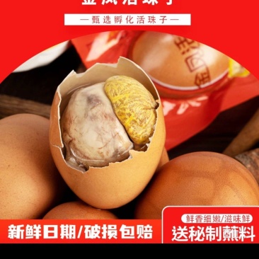 活珠子毛蛋五香/香辣钢化蛋鸡胚蛋喜蛋10-