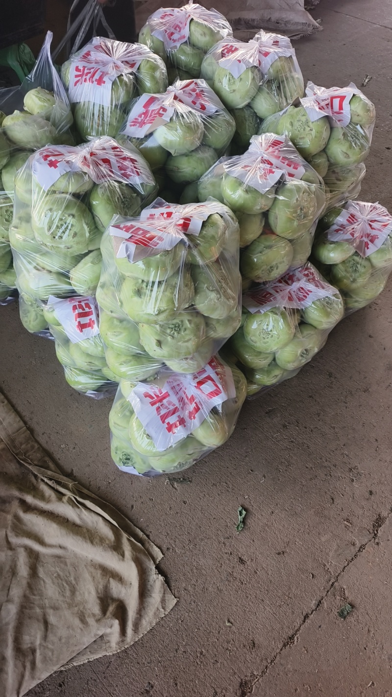 苤蓝（圆整、色绿）适合各大市场销售和腌制