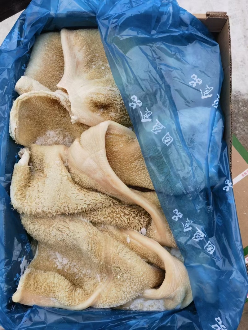 熟牛肚原味凉拌炒菜卤炖锅质量价优对接批发