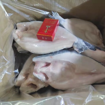 15斤开背巴沙鱼，质量绝对挑不出一点毛病来，价格好商量，