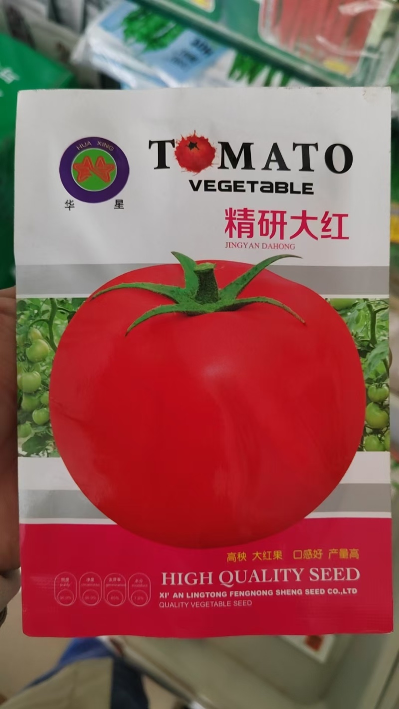 菜果硬果大红番茄种子柿子种子高秧型包邮到家