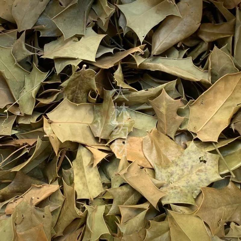 枸骨叶【包邮】三斤起发货可批量可零售量大从优
