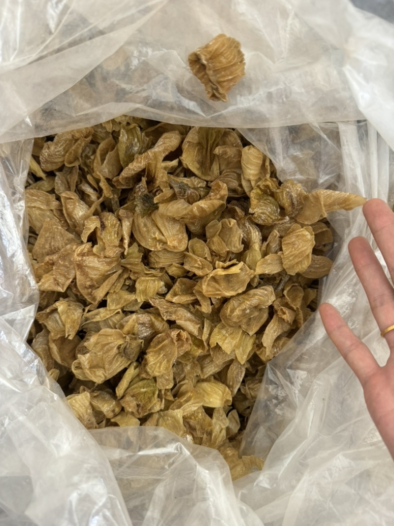 鸡内金生鸡内金炒鸡内金干净货实拍