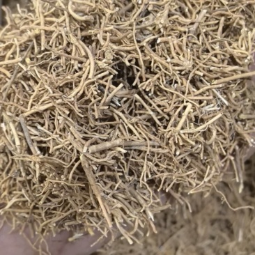 徐长卿片切断过筛无灰尘万信药业只做保真药材