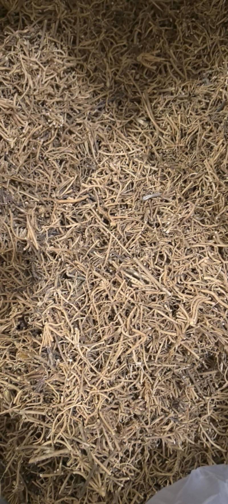 徐长卿片切断过筛无灰尘万信药业只做保真药材