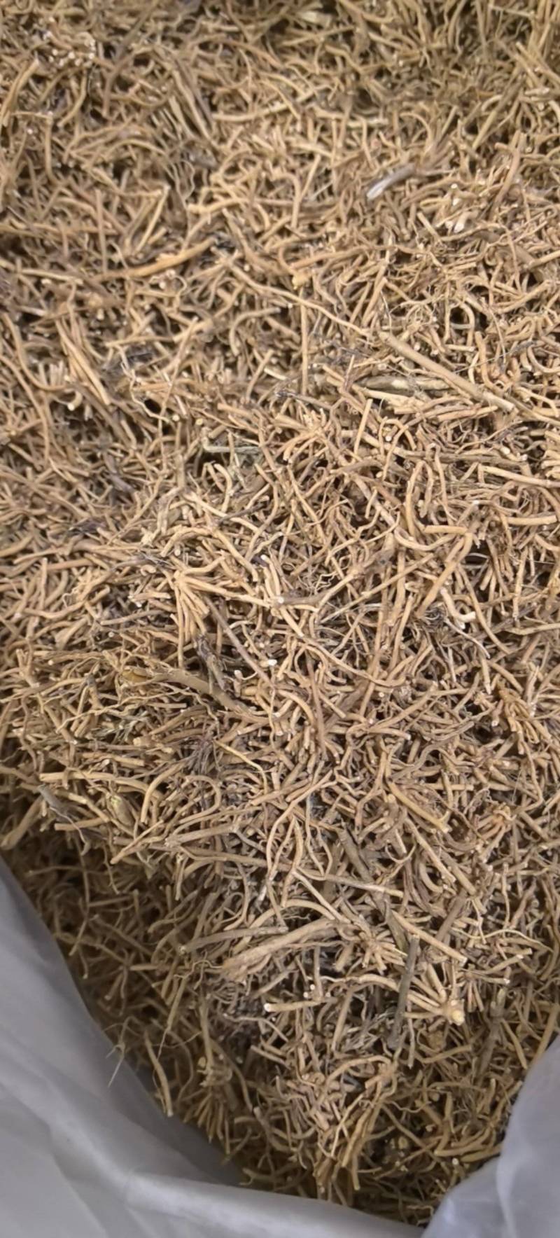 徐长卿片切断过筛无灰尘万信药业只做保真药材