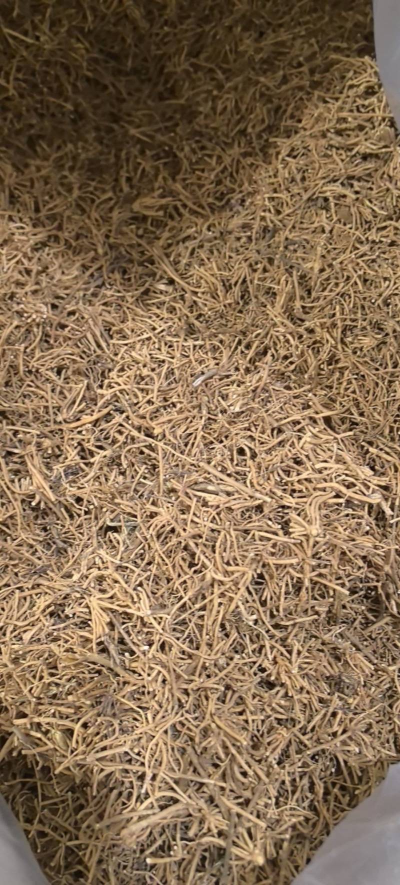 徐长卿片切断过筛无灰尘万信药业只做保真药材