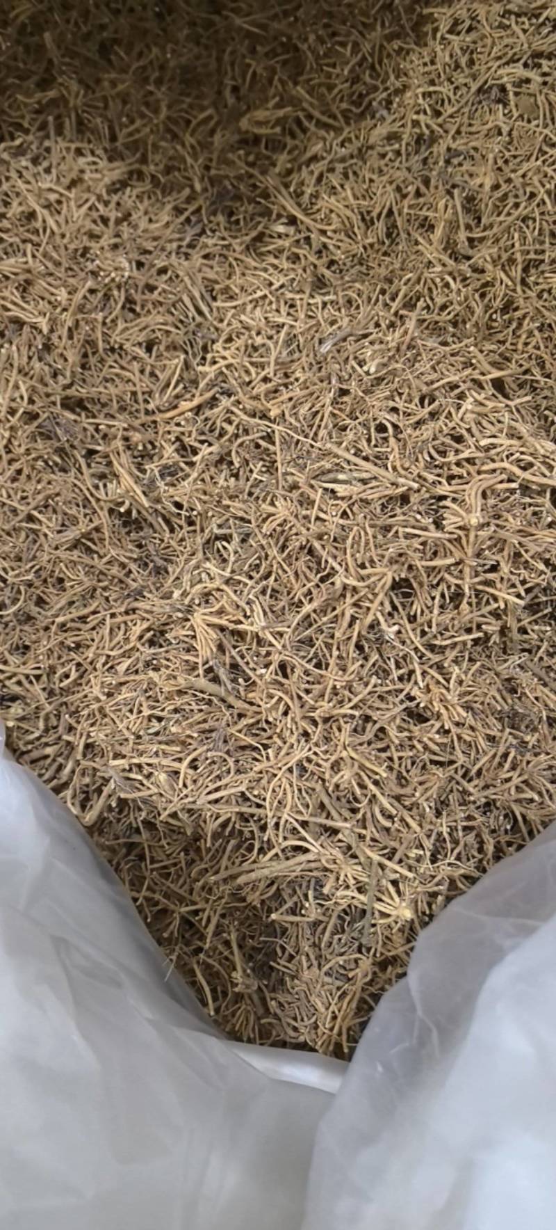 徐长卿片切断过筛无灰尘万信药业只做保真药材