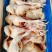 一级三黄鸡