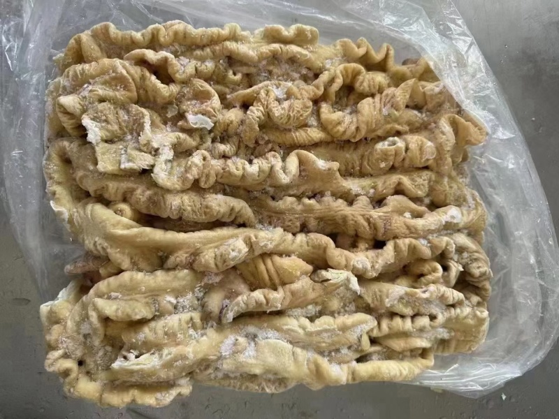 鑫康煜大肠