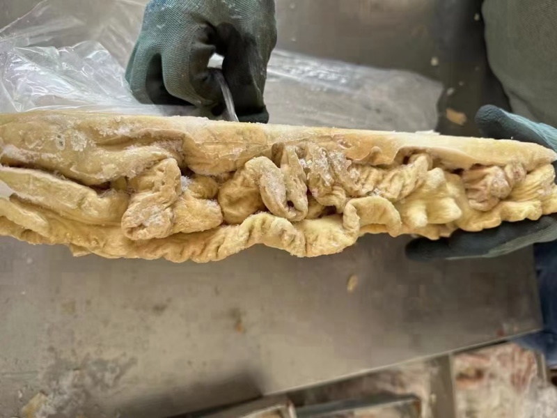 鑫康煜大肠