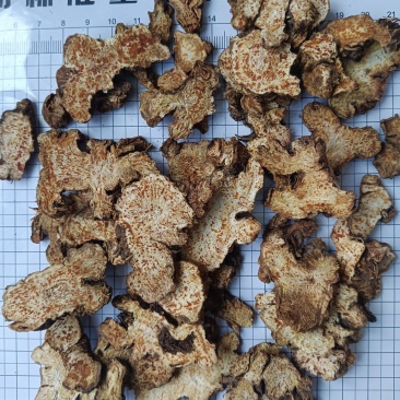 苍术，内蒙苍术朱砂点多新货无硫过四个筛有现货接单秒发货