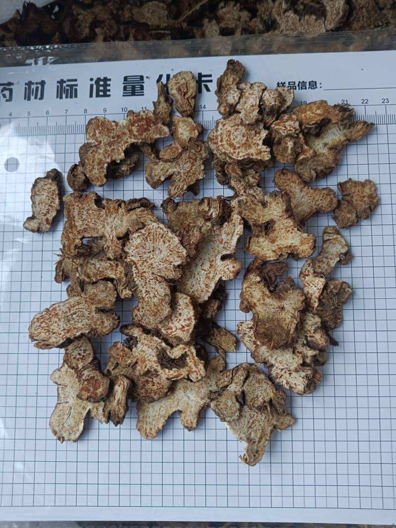 苍术，内蒙苍术朱砂点多新货无硫过四个筛有现货接单秒发货