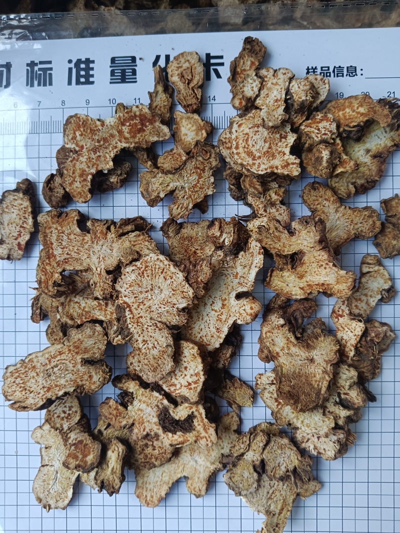 苍术，内蒙苍术朱砂点多新货无硫过四个筛有现货接单秒发货