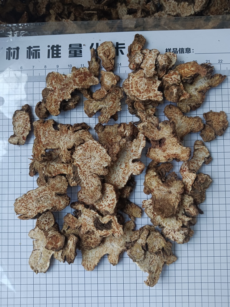 苍术，内蒙苍术朱砂点多新货无硫过四个筛有现货接单秒发货