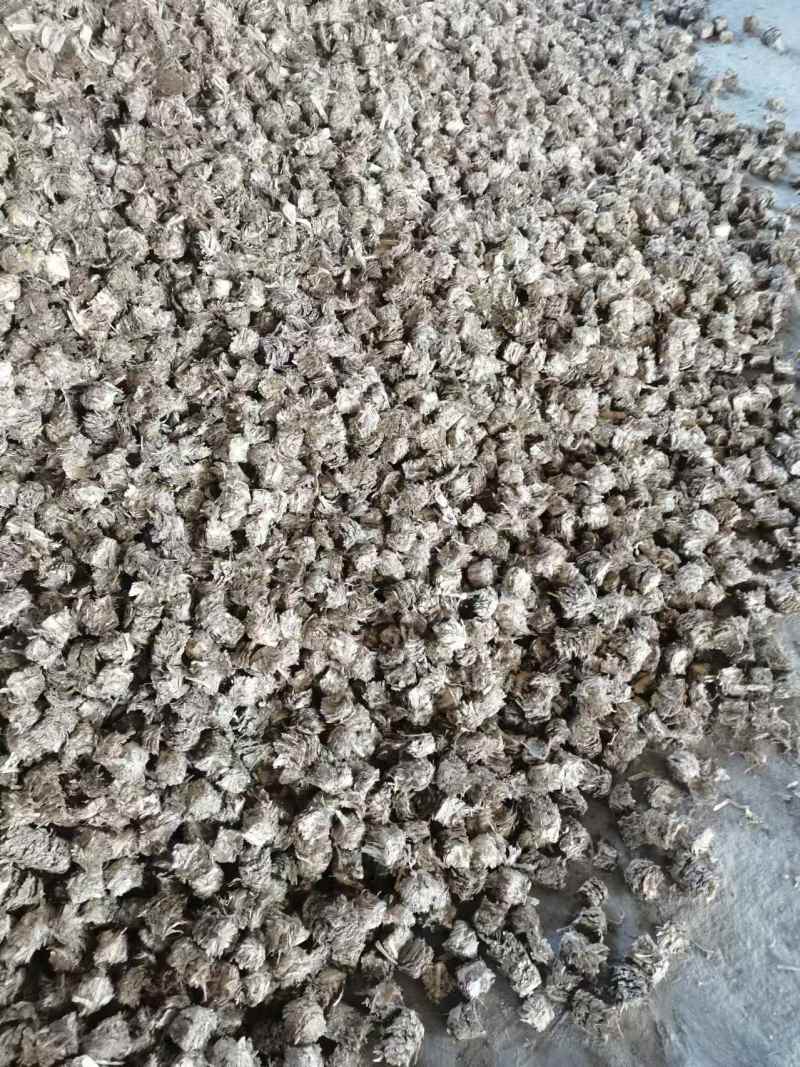 黑龙江绥化玉米秸秆燃料易点燃热值高更耐烧厂家直销