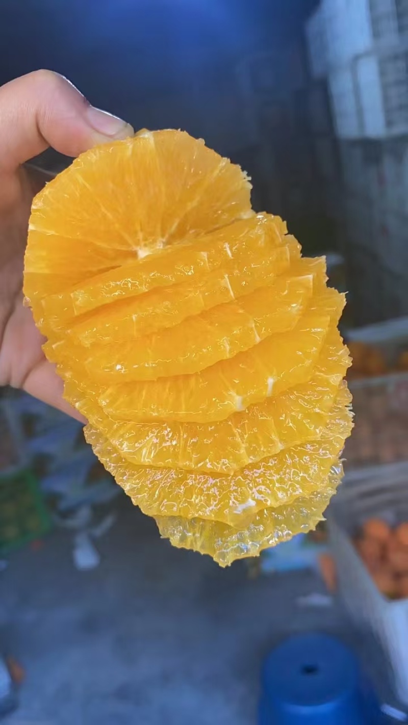 【实力】脐橙纽荷尔脐橙产区直发保质保量供货发货全国
