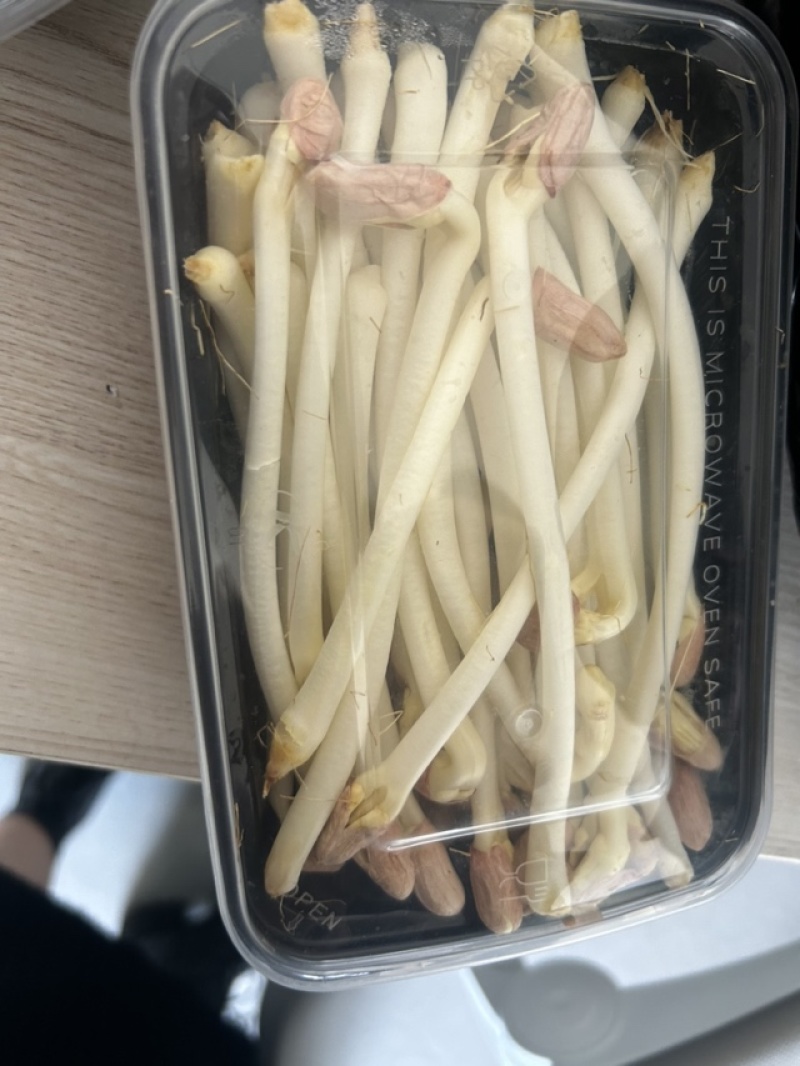 新鲜山东花生芽，保鲜发货，口感鲜美，有需要的联系