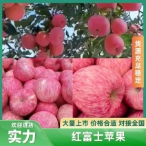 苹果，75mm以上纸袋，80mm以上纸袋