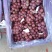巨峰葡萄产地一手货源价格便宜欢迎电话洽谈合作