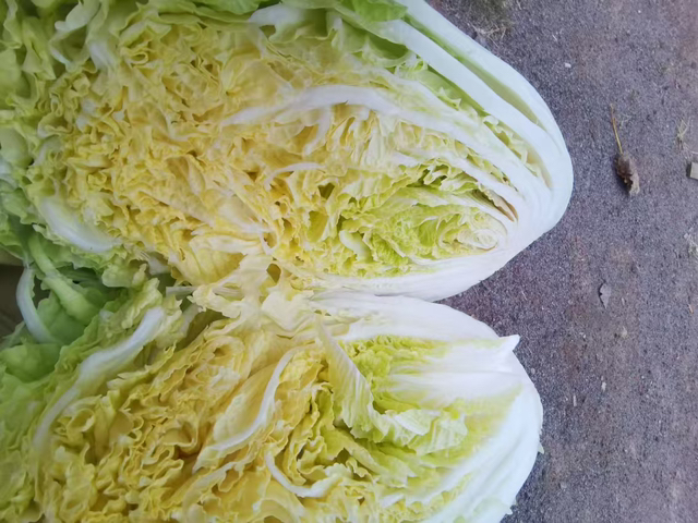 白菜切碎处理过程