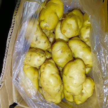 安丘黄芯土豆
