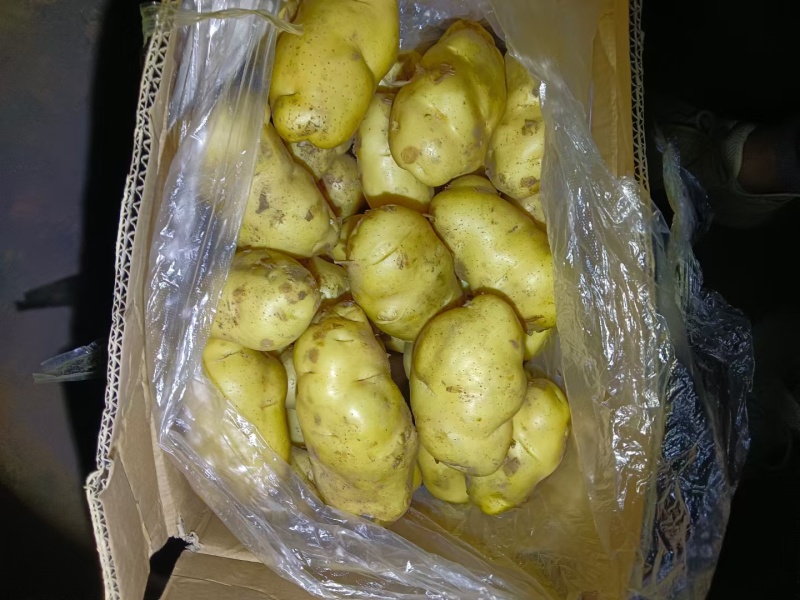 安丘黄芯土豆