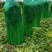 饶阳芹菜大棚西芹中细颗一手货源量大从优诚信经营欢迎