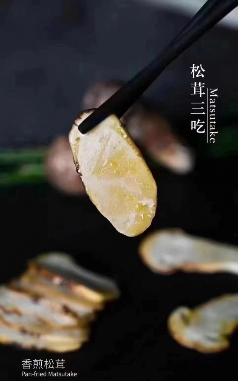 野生松茸