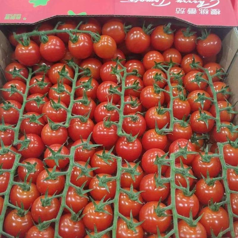 串串西红柿