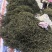 精品架豆王