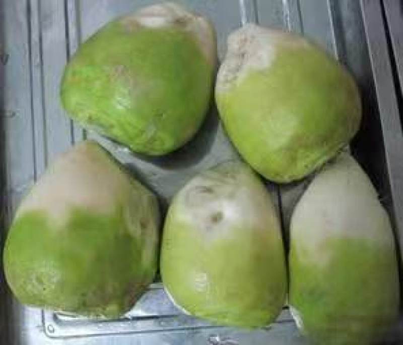 山西吕梁芥菜一手货，蔬菜基地直发，视频看货