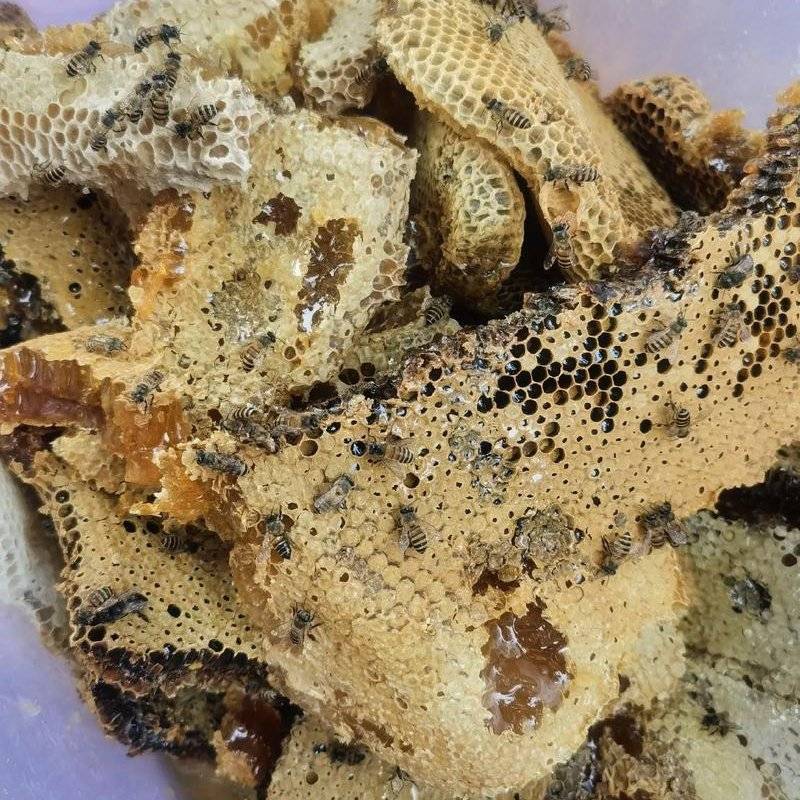 河南蜂蜜百花蜜土蜂蜜，自产自销，买三斤送二斤，欢迎采购