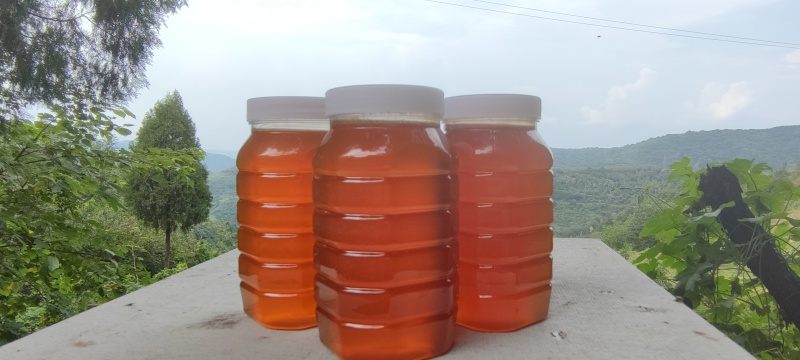 河南蜂蜜百花蜜土蜂蜜，自产自销，买三斤送二斤，欢迎采购