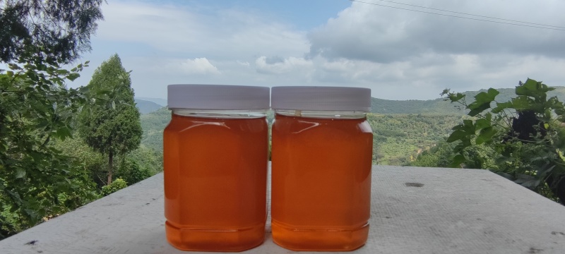 河南蜂蜜百花蜜土蜂蜜，自产自销，买三斤送二斤，欢迎采购