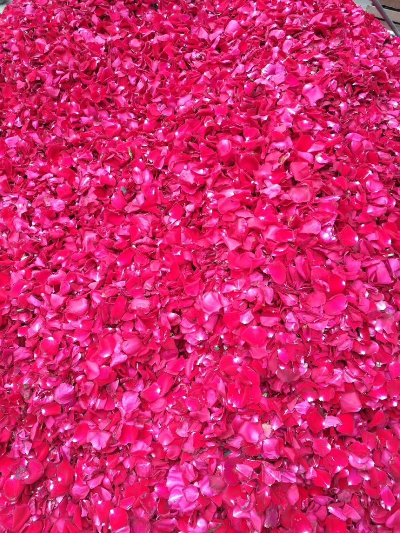 云南玫瑰干花瓣泡澡泡脚用真花瓣温泉沐浴足浴