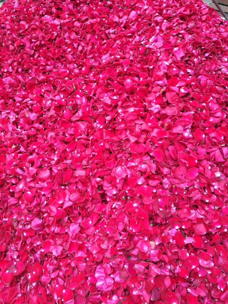 云南玫瑰干花瓣泡澡泡脚用真花瓣温泉沐浴足浴