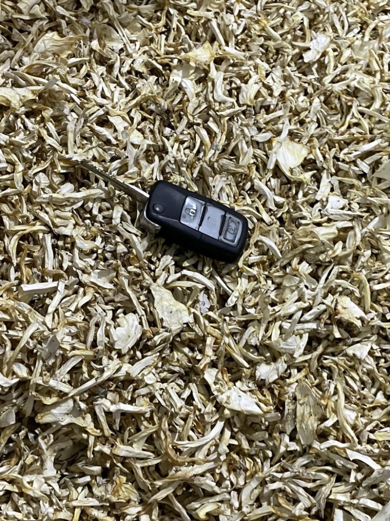 干平菇脚，丝