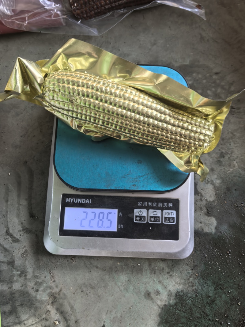 【正宗东北甜糯玉米】寒地黑土，粘粘糯糯！工厂直供