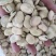 蚕豆有货