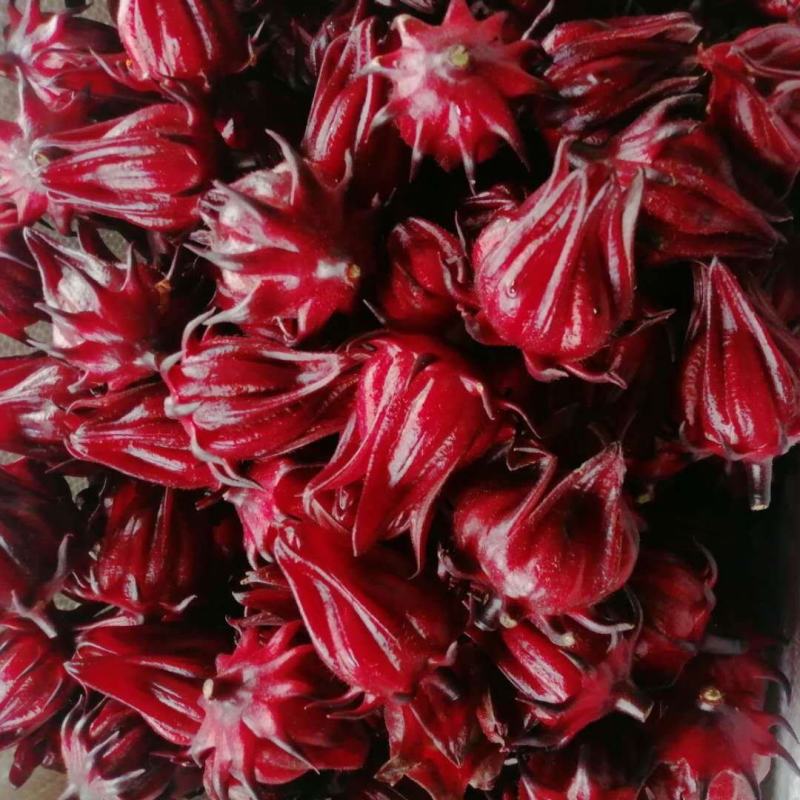 洛神花玫瑰茄红桃k产地直供大量上市品质好价格低