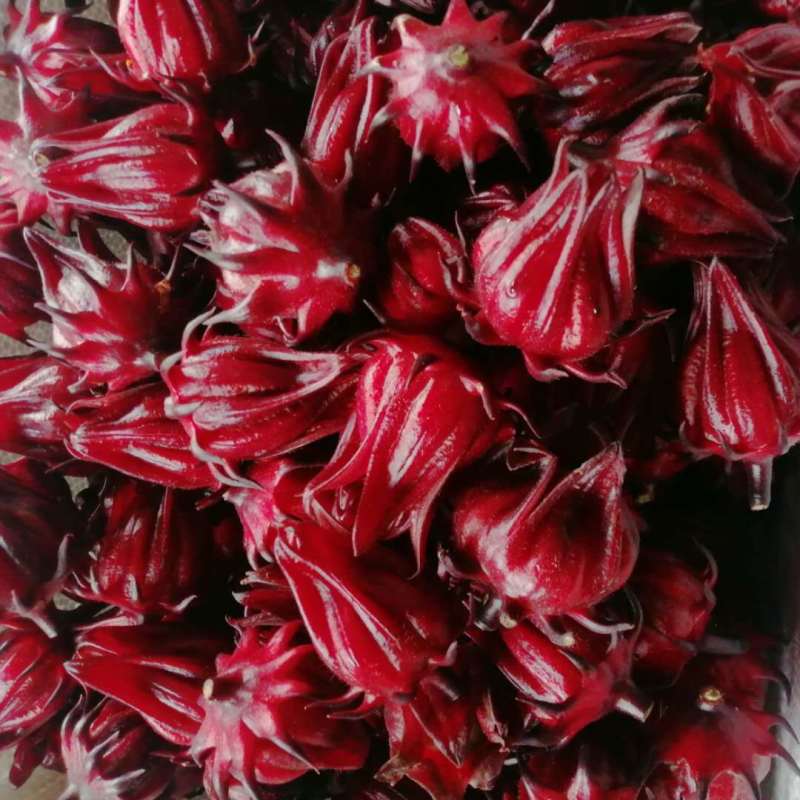 洛神花玫瑰茄红桃k产地直供大量上市品质好价格低
