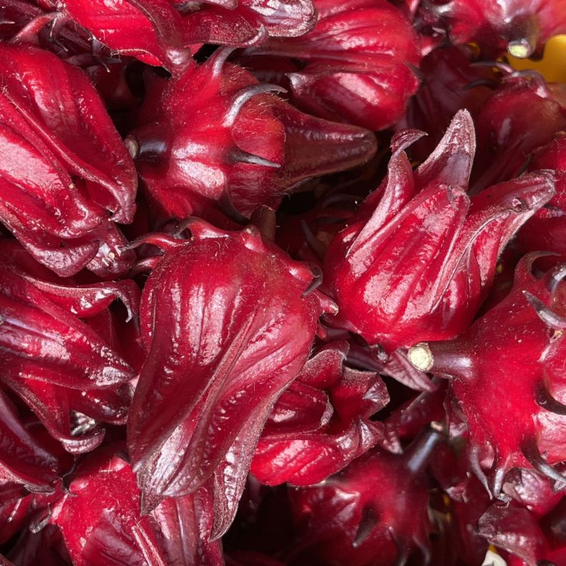 洛神花玫瑰茄红桃k产地直供大量上市品质好价格低
