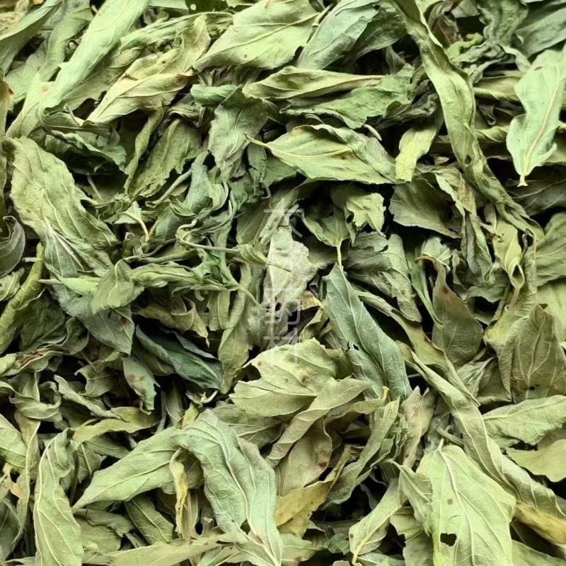 忧遁草叶【包邮】三斤起发货可批量可零售量大从优