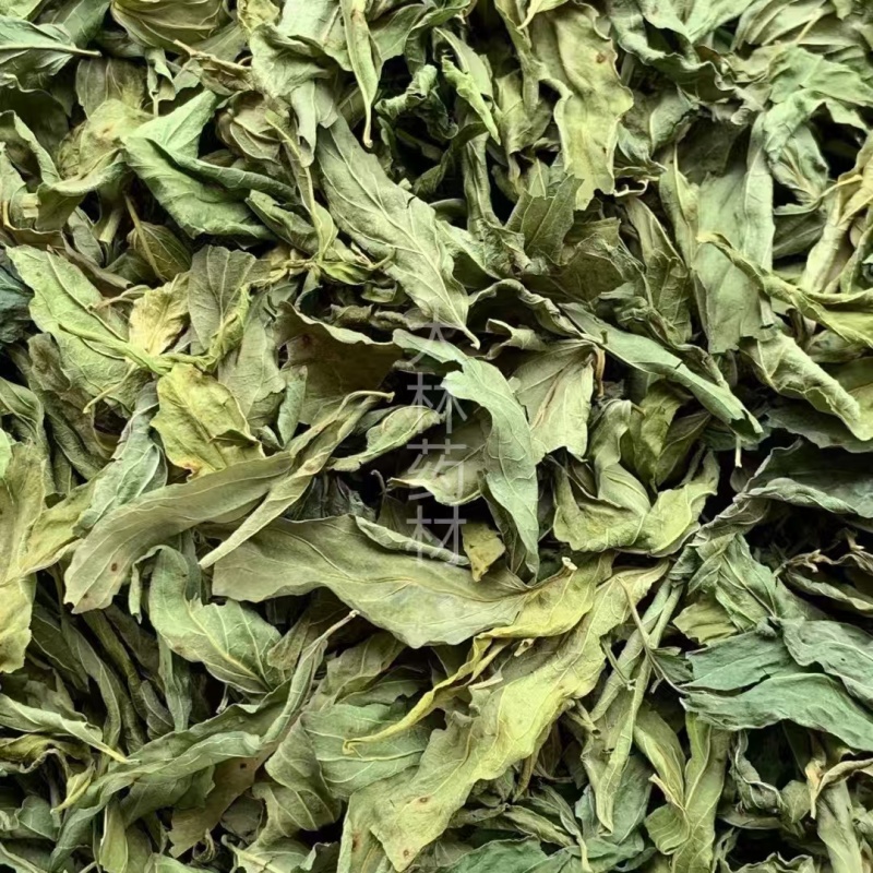 忧遁草叶【包邮】三斤起发货可批量可零售量大从优