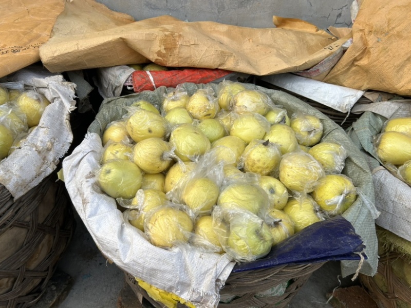 黄元帅金帅手漏