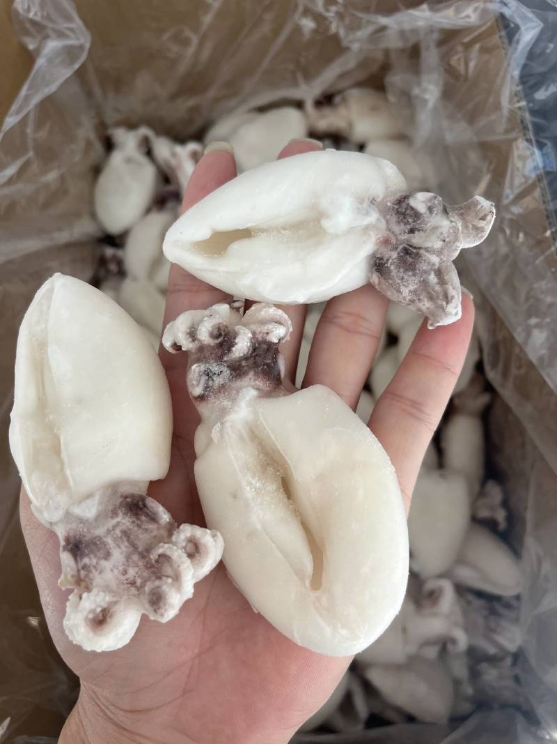 墨鱼仔，散装墨鱼仔