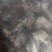清真羊蝎子肉多多，味道鲜美，欢迎老板前来选购