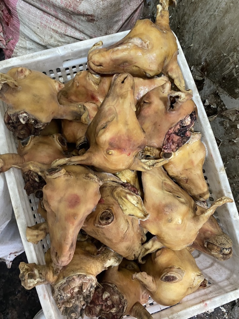 1.5斤-2斤火烧小羊头