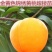 锦绣黄桃黄金45号甜黄金蜜香基地现挖现发包成活包结果